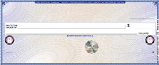 QuickBooks® Basic Voucher Checks